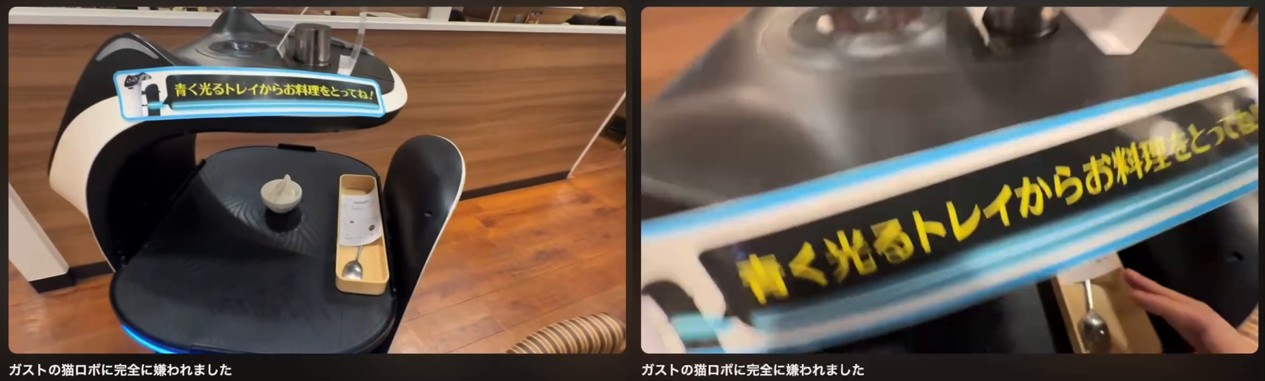ガストの BellaBot。上の段に「青く光るトレイからお料理をとってね！」の札。どの段を取るかの迷いを減らす工夫